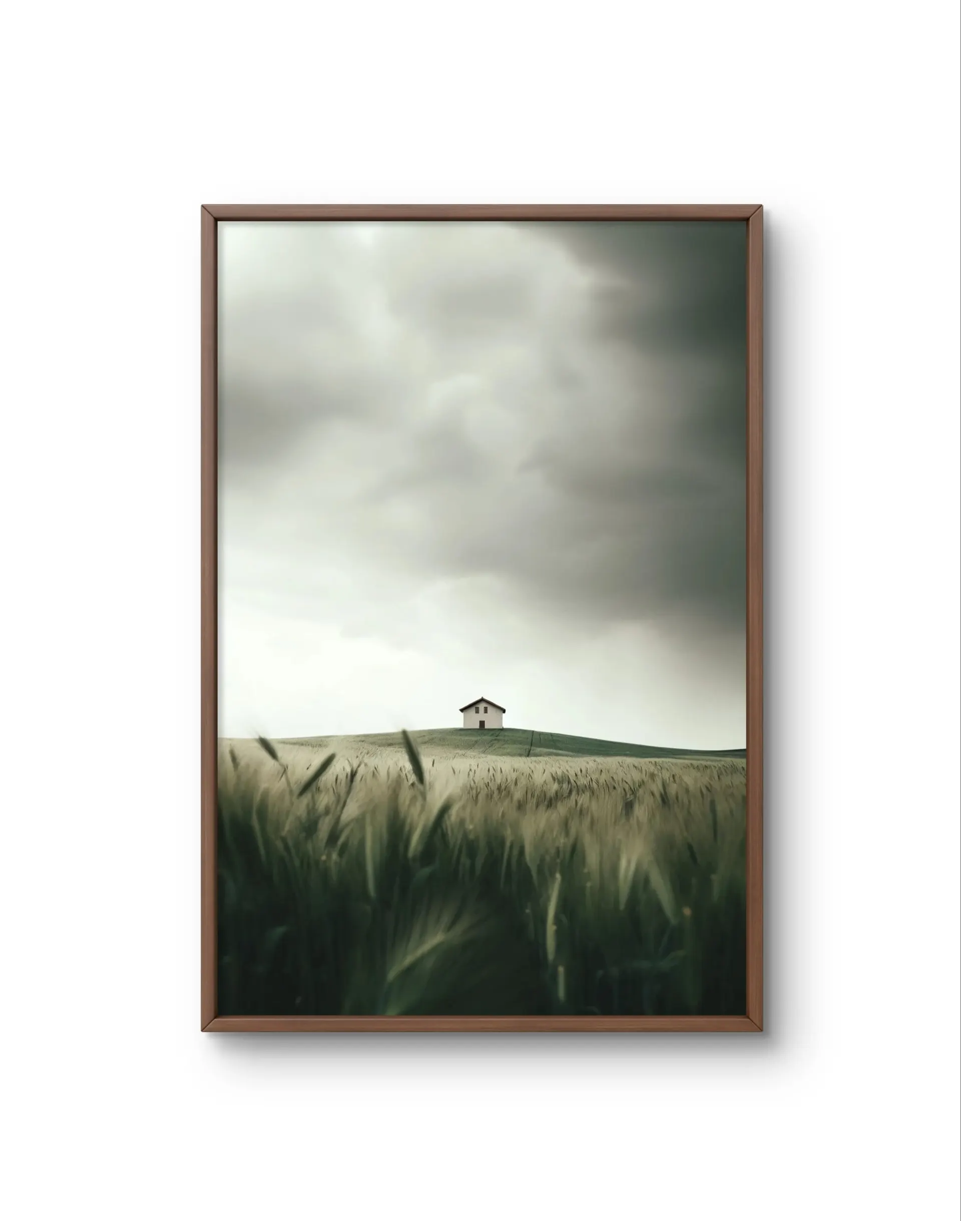 Bellucci - Solitude on the Hill — Fotografia stampa d'arte di Bellucci