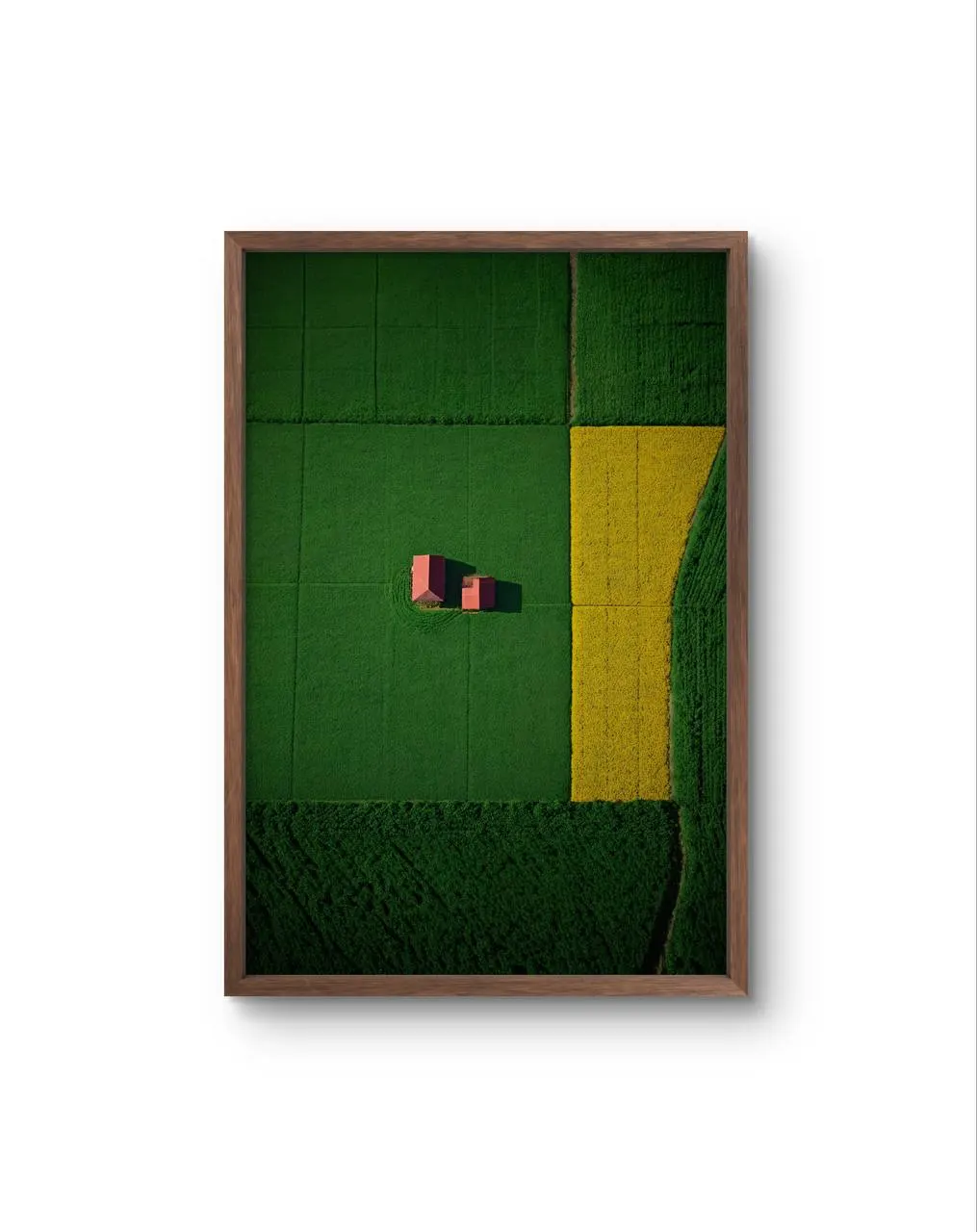Bellucci - The Red Houses in a Sea of Green — Fotografia stampa d'arte di Bellucci