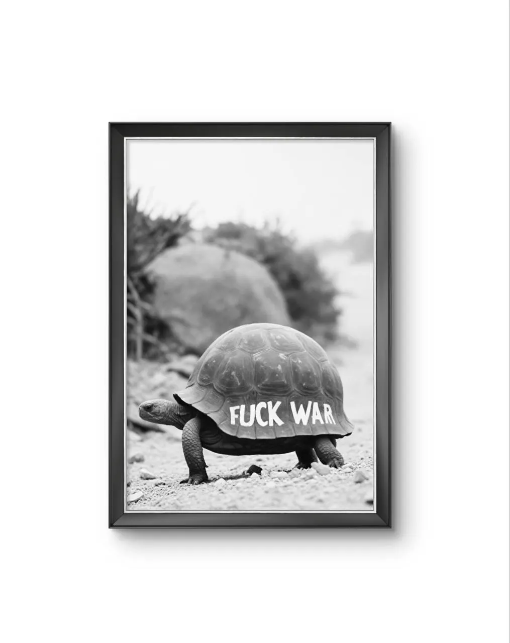 Bonaque - A Statement on the Shell — Fotografia stampa d'arte di Bonaque