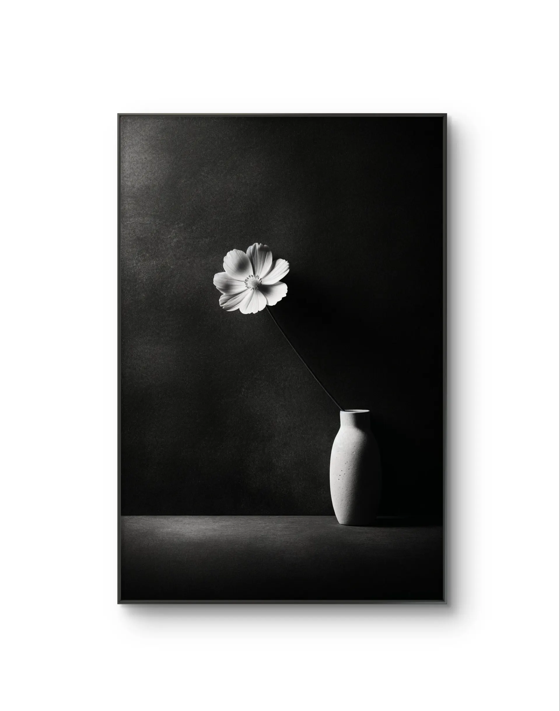 Bonaque - Elegance in Simplicity — Fotografia stampa d'arte di Bonaque