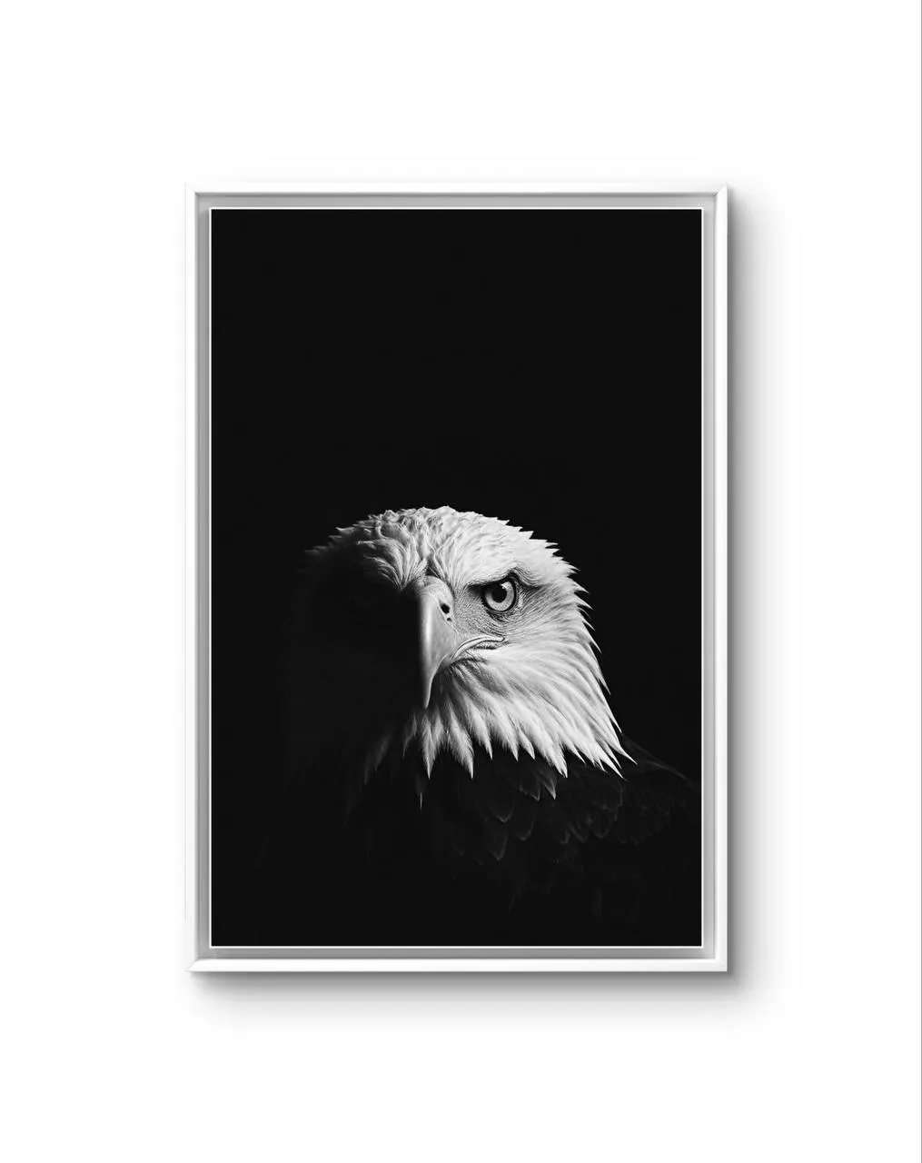 Bonaque - Majestic Sentinel — Fotografia stampa d'arte di Bonaque