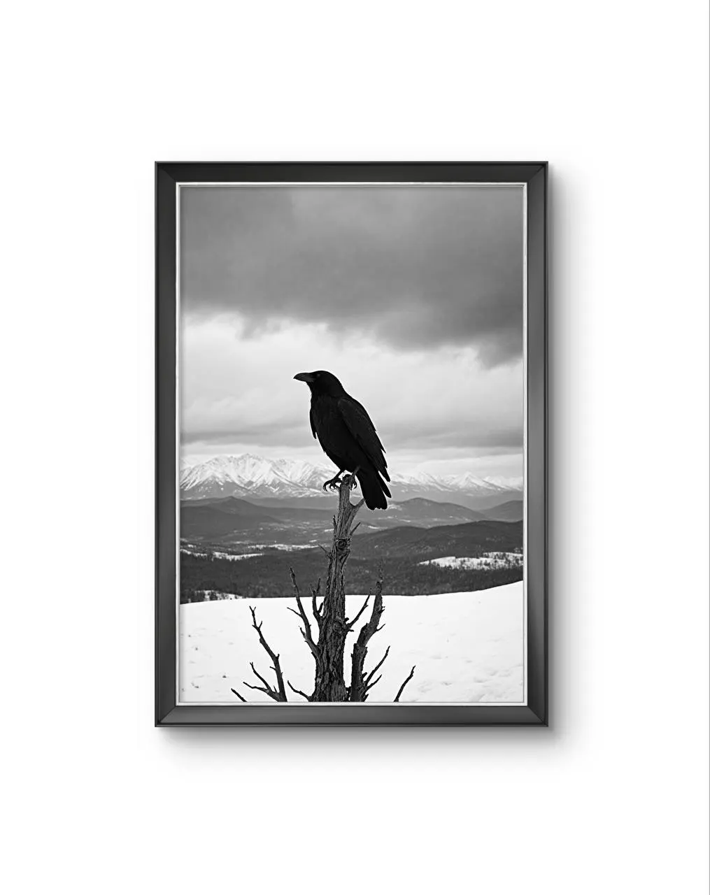 Bonaque - The Watchful Raven — Fotografia stampa d'arte di Bonaque