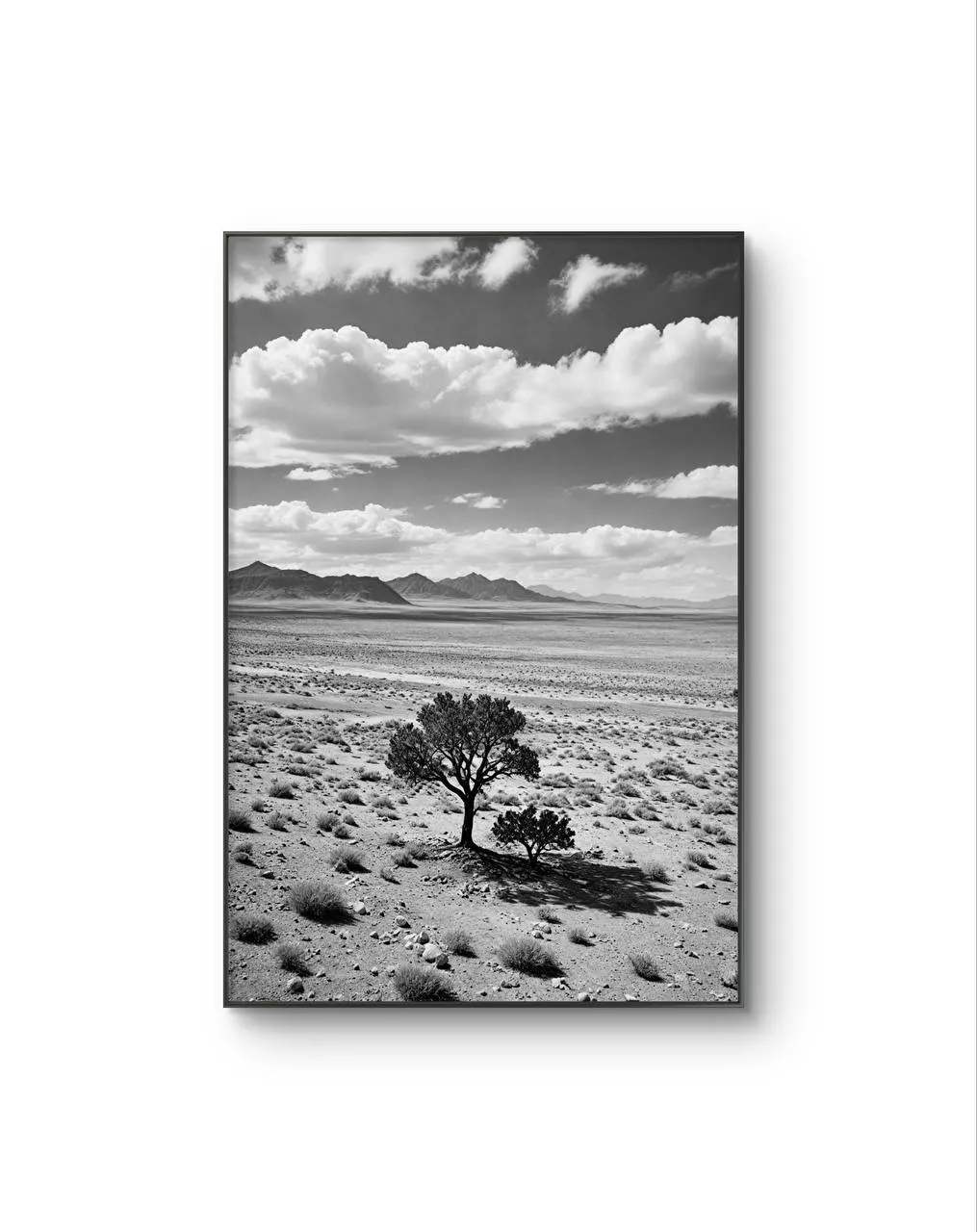 LumièreVue -  Resilience in the Wasteland — Fotografia stampa d'arte di LumièreVue