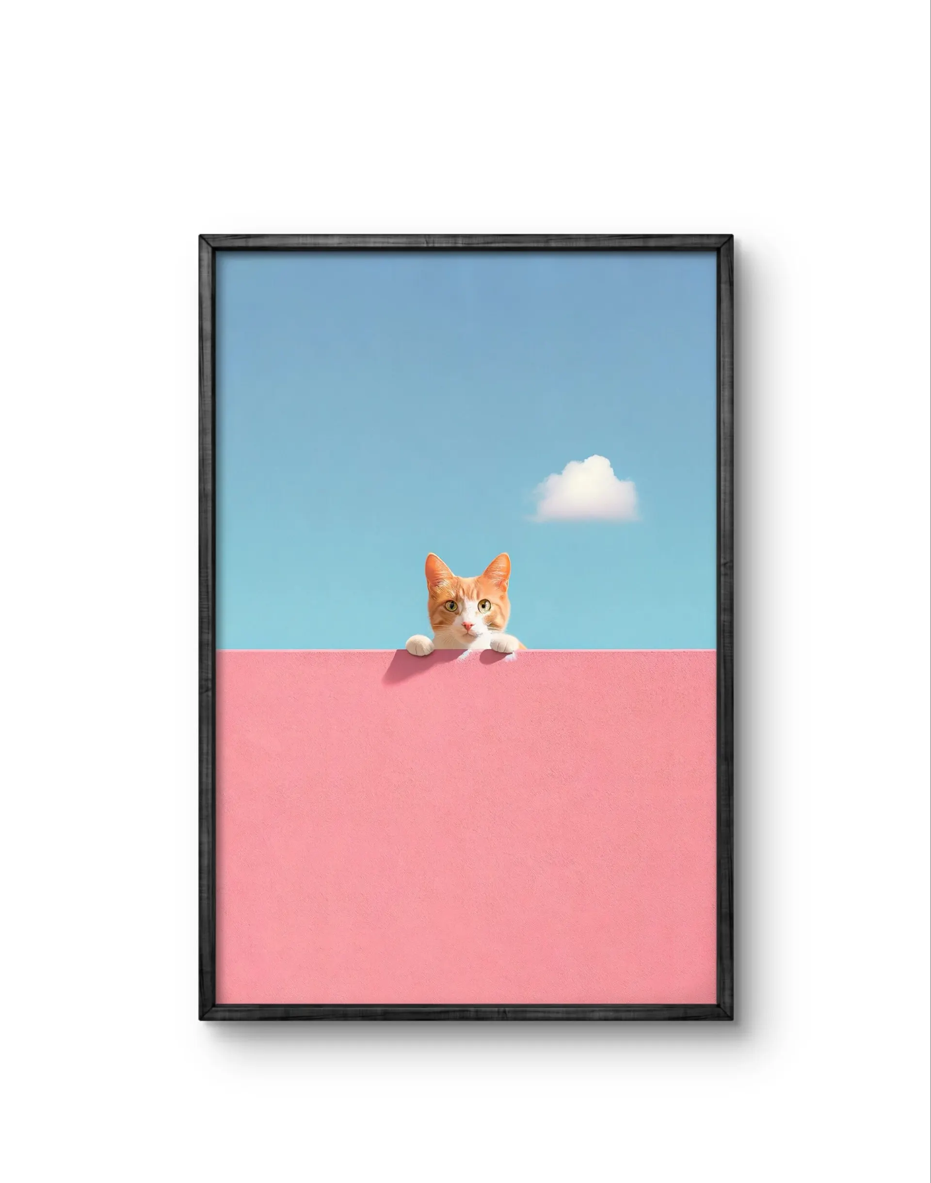 Lumivista - Curious Whiskers — Fotografia stampa d'arte di Lumivista